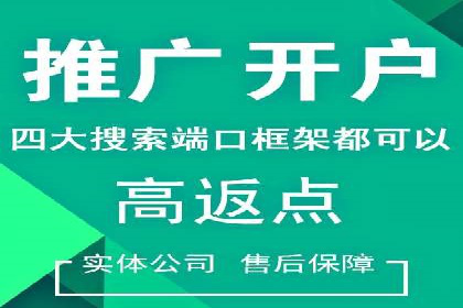 百度竞价广告投放全解析：成功案例揭秘